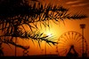 TEST BAHRAIN, Circuit Atmosfera - sunset.
25.02.2023. Formula 1 Testing, Sakhir, Bahrain, Day Three.
- www.xpbimages.com, EMail: requests@xpbimages.com © Copyright: Moy / XPB Images